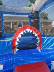2C5CDA7A 1962 4ECE 8544 C476713CD032 1751771847 Shark Bounce house with slide