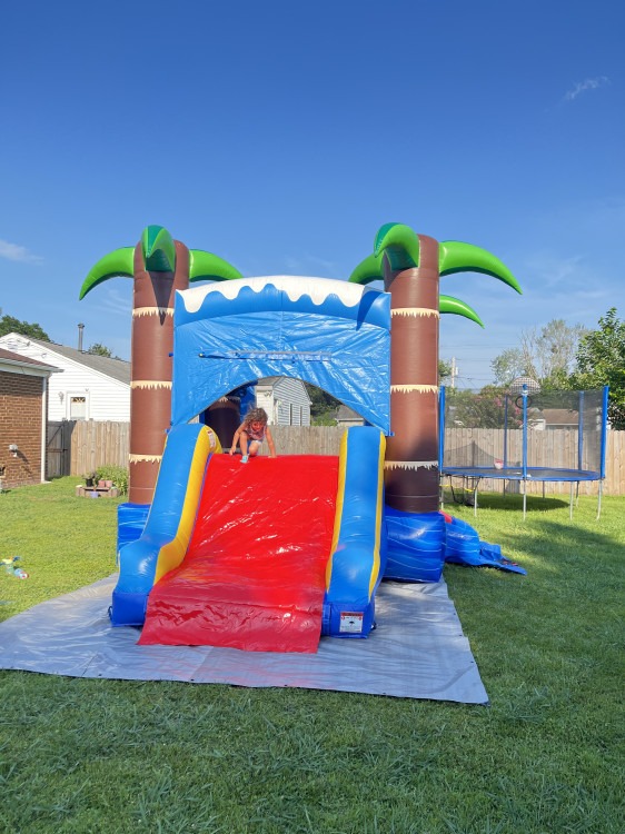 Shark Bounce house with slide