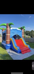 🎉 Double Bounce Party Package (Dry Slide Version)