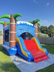 C100D6B8 B760 4C89 AA49 BFBBE32D5ACB 1 201 a 1751771845 Shark Bounce house with slide