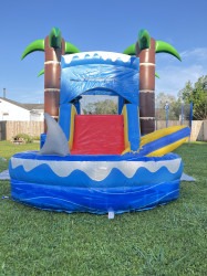D5352FD0 698A 4D49 9F6E 2BB6ED0470CF 1752356431 Ultimate Party Combo Package (w pool)