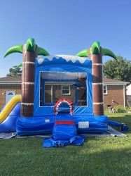 DED2510C 9470 45FC BFA8 3E53C41D603B 1751771846 Shark Bounce house with slide